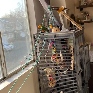 Sara added a photo of their purchase