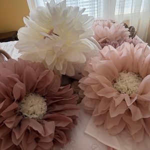 Renee added a photo of their purchase