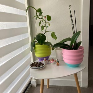 Rachel added a photo of their purchase