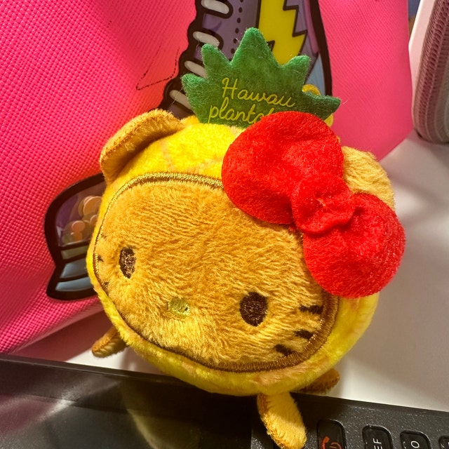 New - HAWAII Limited Edition Hello Kitty Plush 4