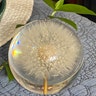 Reviewer's image