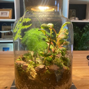 Sarah added a photo of their purchase