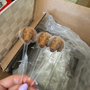 Rachel added a photo of their purchase
