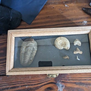 Cherry Wood Display Case 9" X 12" X 2" - For Arrowheads, Knives, Coins, Collectibles