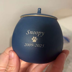 Aleksandra ha añadido una foto de su compra