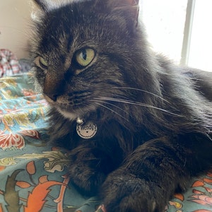 Jimi adicionaram uma foto da sua compra