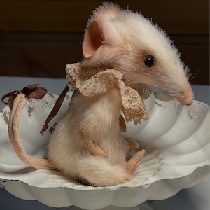 Sonja added a photo of their purchase