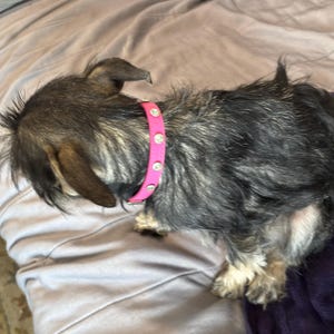 Peggy added a photo of their purchase