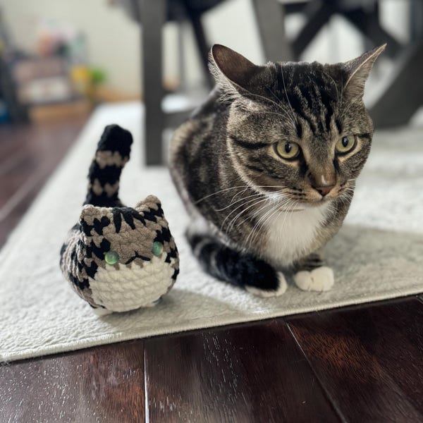 Teddy - One Size - Eggplant