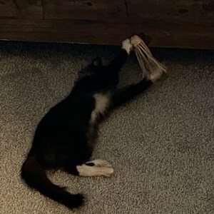 Kora added a photo of their purchase