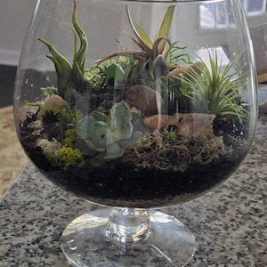 David added a photo of their purchase
