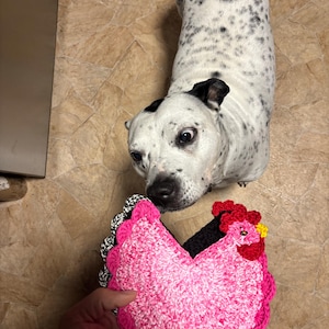 Kalvin adicionaram uma foto da sua compra