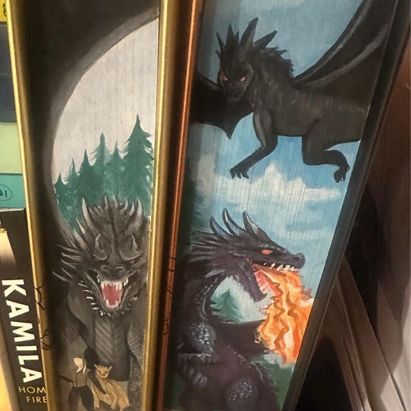 Iron Flame Special Edition Hand Painted Fore Edge Book Rebecca Yarros Custom Fourth Wing Onxy