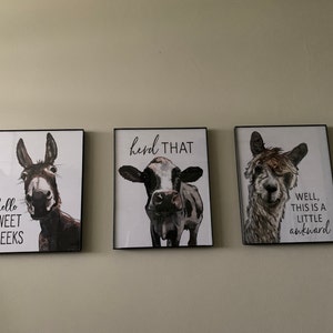 Josie added a photo of their purchase