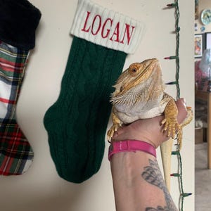 Etsy buyer added a photo of their purchase