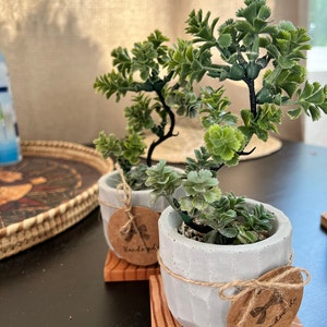Tilisa added a photo of their purchase