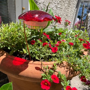 Lisa added a photo of their purchase