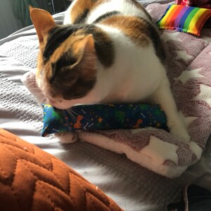 Amanda added a photo of their purchase