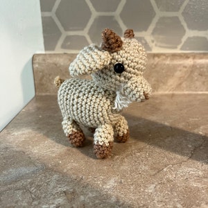 Elizabeth added a photo of their purchase