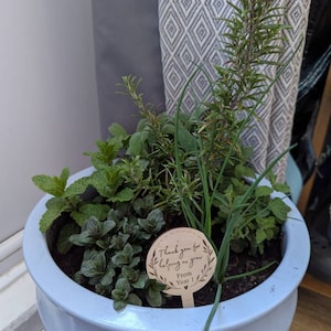 Lizi added a photo of their purchase