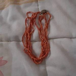 Ximena added a photo of their purchase
