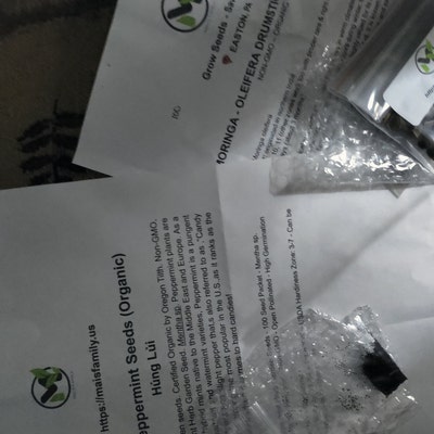 Heirloom Okra Seeds, High Yield, Heat Tolerant, Non-gmo - Ireland