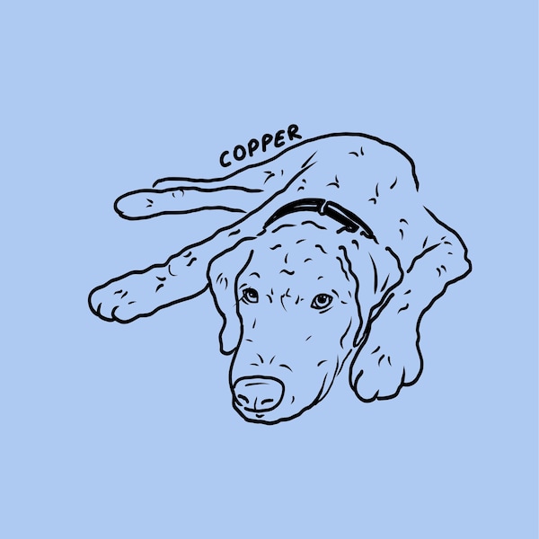 Custom Dog Portrait, Badly Drawn Pet Portrait, Funny Personalized Gift ...