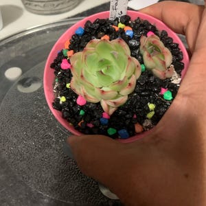 Maria added a photo of their purchase