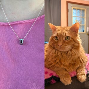 Bailey added a photo of their purchase
