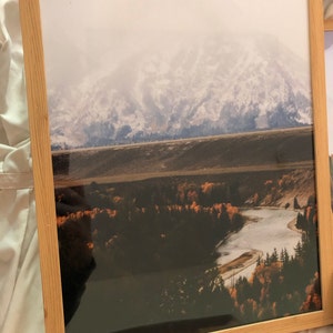 Shaelese added a photo of their purchase