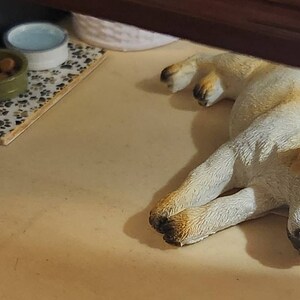 Monica added a photo of their purchase