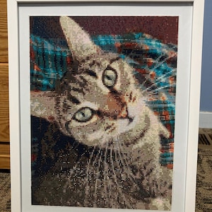 Dana added a photo of their purchase