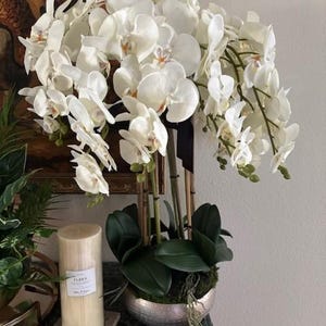 lillian added a photo of their purchase