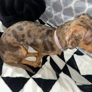 Mariana ha añadido una foto de su compra