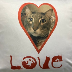 Tammy added a photo of their purchase