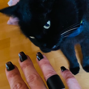 Steffi ha aggiunto una foto del proprio acquisto