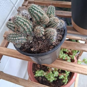 Tim added a photo of their purchase
