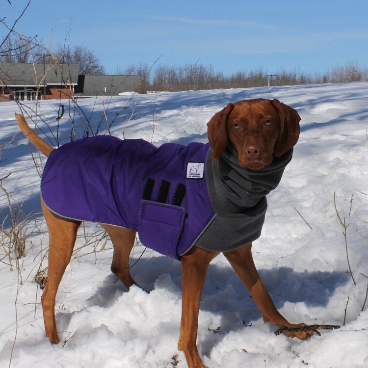 VIZSLA Winter Dog Coat Winter Coat Waterproof Dog Coat Dog Etsy