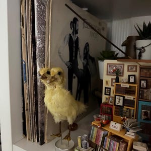 Alexa added a photo of their purchase