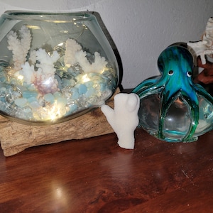 Rebeca added a photo of their purchase