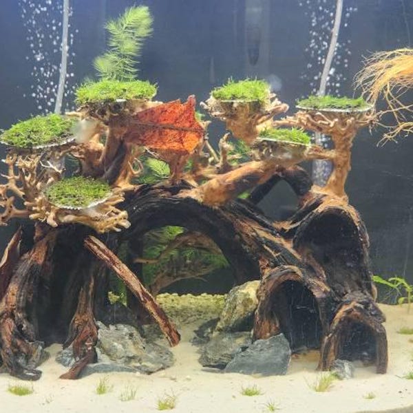 Natural Driftwood Hardscape Aquascape Aquarium Bonsai Cave Aquascaping ...
