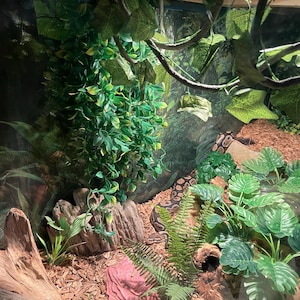 Robert added a photo of their purchase