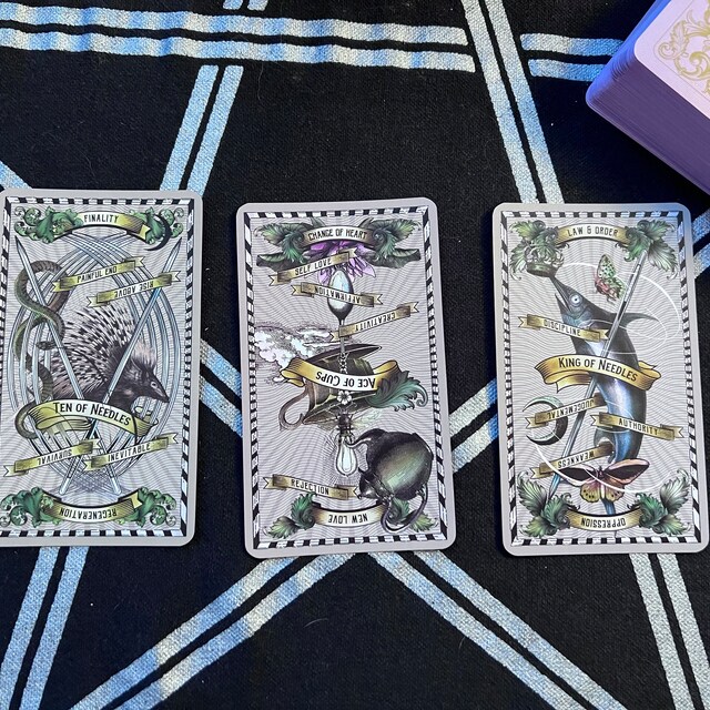 The 5-cent Tarot 2nd Edition by Madam Clara - Etsy The 5-cent Tarot 2nd Edition by Madam Clara - Etsy
