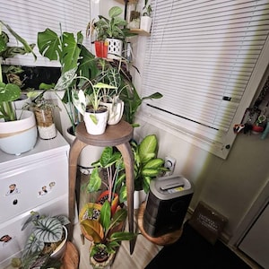 Etsy のお客さま さんが購入した商品の写真を追加しました