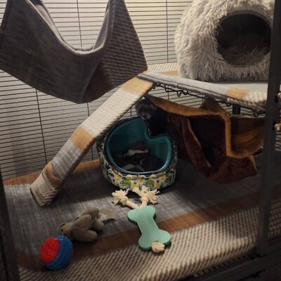 thumbnail image 2 of Little Friends HUGE Rodent-Hive Hammock - 30x30x25cm Soft Cave Bed For Rats, Ferrets, Chinchillas (Rainbow Waves) 2 of 14