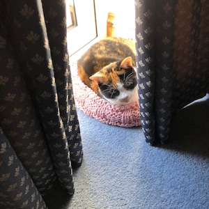 Sparkle added a photo of their purchase
