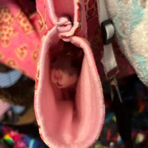 Joe added a photo of their purchase