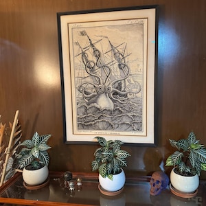 CARLOS a ajouté une photo de son achat