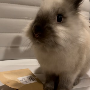 Misty added a photo of their purchase