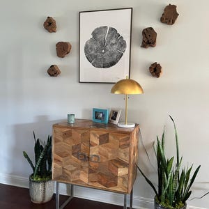 100 Year Old Juniper Tree Rings Print, 24 X 36 Premium Wood